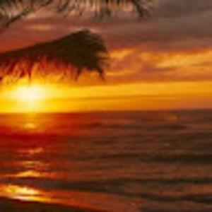 Meet your Posher, Sheena